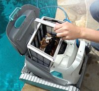 Dolphin Active 30 Poolside Cleaning Robot 8