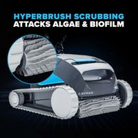 Dolphin Cayman Scrubbing Brushes