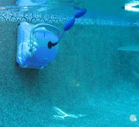 Dolphin M200 Underwater Wall Cleaning 5