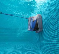 Dolphin M600 Underwater Wall Cleaning 8