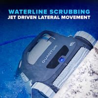 Dolphin Quantum Waterline Cleaning