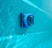 Dolphin S400 Underwater Wall Cleaning 6