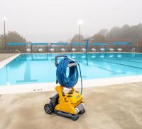 Dolphin Wave 100 Poolside Caddy 2