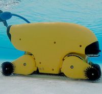 Dolphin Wave 200 XL Underwater 5